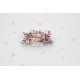 Medium =37.00 USD
