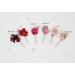  
Select color: burgundy
Select color: red
Select color: magenta
Select color: dark pink
Select color: pink
Select color: blush pink