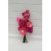  
Select bouquet:  Magenta bouquet
