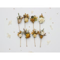 Set of 8 Wedding Hair Pins in Mustard, Gold, Ivory and Yellow
