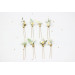 Set of 8 Daisy Floral Hair Pins for Bridal Hairstyles