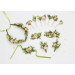 Fairy Floral Crown in Peach, Yellow & Soft Olive Green
