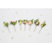 Bridal Hair Pins in Peach, Yellow & Soft Olive Green
