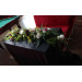 Forest Wedding Table Decor with Ferns and Moss
