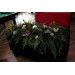 Woodland Floral Centerpiece for a Sweetheart Table