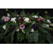 Woodland Floral Centerpiece for a Sweetheart Table