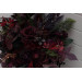 Moody Wedding Bouquets in Burgundy, Deep Purple & Forest Green