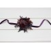  Wedding boutonnieres and wrist corsage  in purple burgundy gold color scheme. Flower accessories. 5223