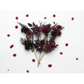 Purple, Burgundy & Black Hair Pins – Gothic Wedding Floral Hair Accessories Set